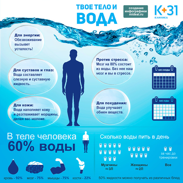 Инфографика Ваше тело и вода